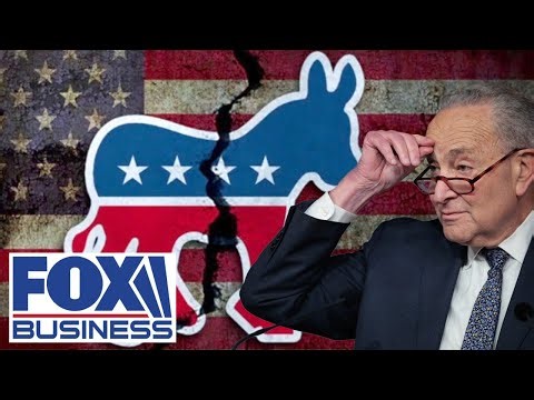 ‘OFF THE CLIFF’: Democratic Party implodes with ‘INFIGHTING,’ says columnist