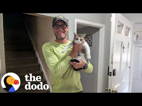 Hungry Cat Spends Four Days Stuck In A Tree | The Dodo