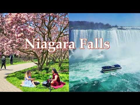 Niagara Falls Canada Spring 2026 - Cherry and Magnolia Blossom