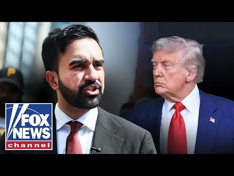 'CRAZY': Mamdani aide's video catches Trump official's attention