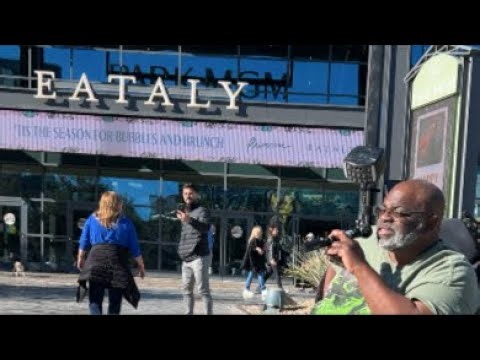 VIP GUIDE Travel LIVE!