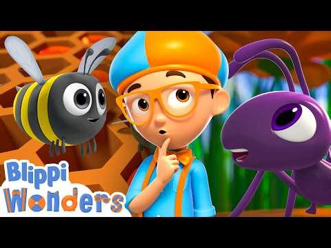 Bee's vs Ants 🐝 What's Blippi's Favorite Insect? 🐜 Blippi Cartoons
