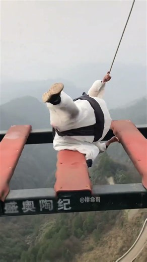 Dark evening bungee with haunting wind ASMR+:Asmr Bungee Jumping