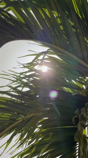 A Perfect Family Day at Paradisus Cancun | Beach, Cenote, Waterpark
