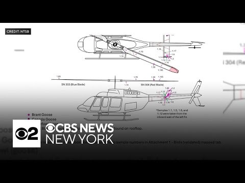 Owner of helicopter company wants license back after NTSB report on deadly crash