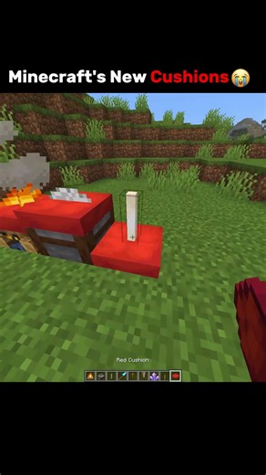 Minecraft Cushion Moment...😭