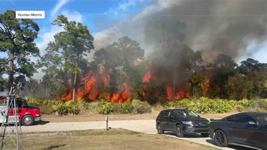 Brush fire sparks near homes in Port LaBelle