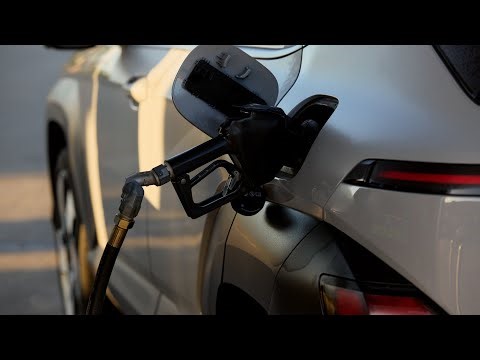 Is There Congressional Support For Trump's Temporary US Gas Tax Halt?