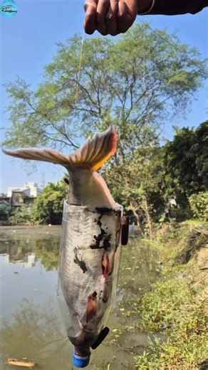 Amazing unique plastic bottle trap fishing video #fish #trap #shorts #big_fish #bottle_fishing