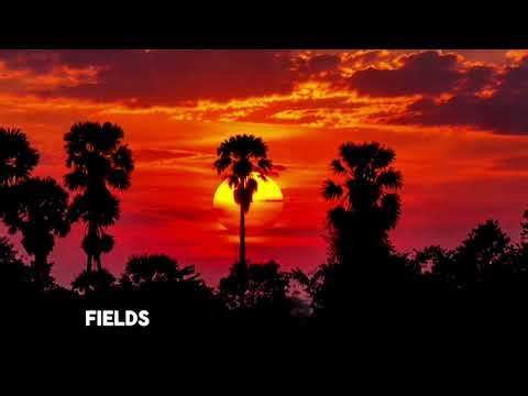 Magical Golden Sunset ✨ | Beautiful Scenery & Soothing Song.