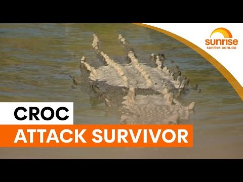 Man hospitalised after crocodile attack in North Queensland | Sunrise