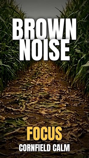 Brown Noise for Focus & Study | Cornfield Path