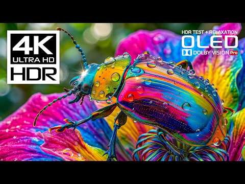 INSANE OLED HDR TEST 240FPS | BEST 4K Video Nature Animals Dolby Vision | 8K Ultra HD TV