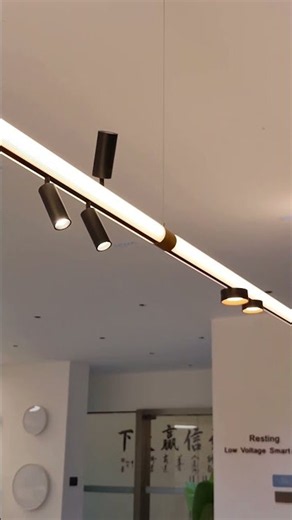Light Tube with Top-Bottom Magnetic Track Light System #pnylighting #commerciallighting