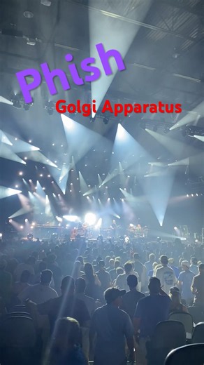 @phish - Golgi Apparatus in Raleigh, NC #phish #golgiapparatus #summertour #music #band #concert
