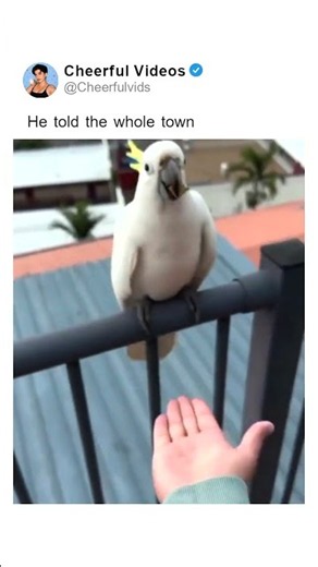 He told the whole town