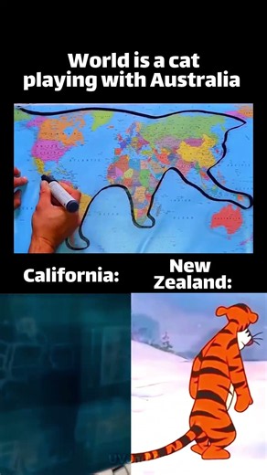 World Map is Actually a Cat Playing with Australia 🐱🌏