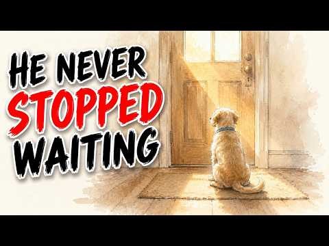 What Your Dog Is Actually Doing Every Single