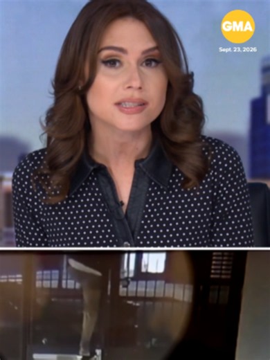 A UC Berkeley student is calling for changes after the man who scaled a locked gate to chase her home remains free. #abcnews #news