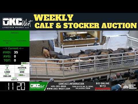 OKC WEST LIVESTOCK MARKET | 1,500 Head Stocker & Calf Pulse | 5.12.26