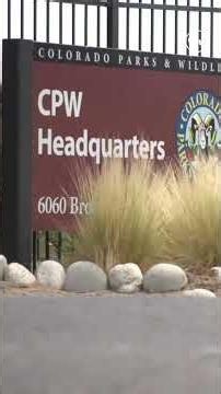 CPW confirms new gray wolf pack in Eagle County