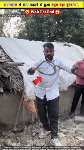 राजू भाई ने कैसे किया जहरीले cobra का rescue 🙏🐍