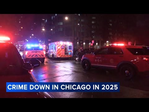 Violent crime down in Chicago over past year