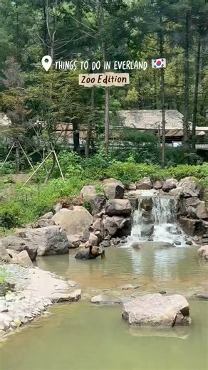 Everland Safari World 🇰🇷