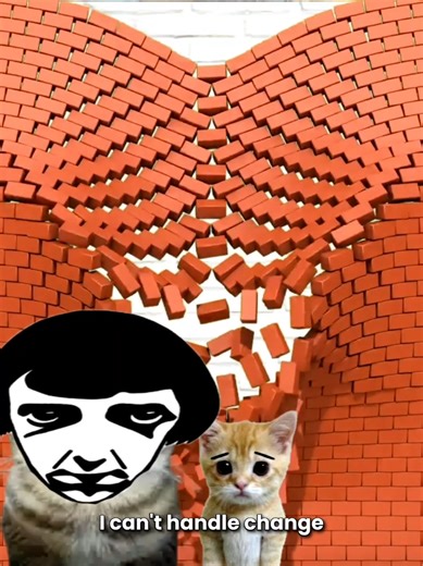 peenar news #fyp #didyouknow | wisp the cat