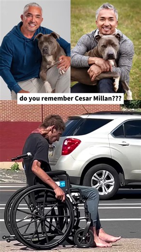 Cesar Millan was the world's most famous dog trainer--until controversy, divorce, and backlash changed everything. #CesarMillan #DogWhisperer #NationalGeographic #doyouremember