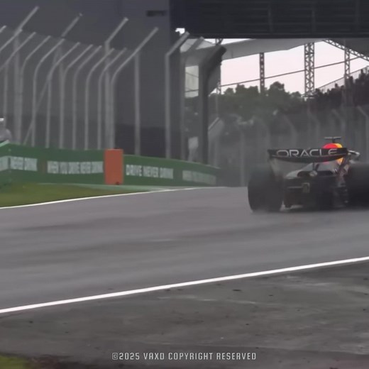 Max Verstappen's Epic SAO Paulo Grand Prix Victory
