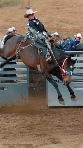 God Bless America 🇺🇸