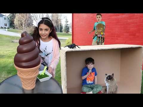 Kids Learn to Play Hide-and-Seek Safely | Animal Fun Stories