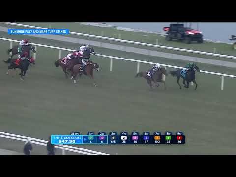 2026 $75,000 Sunshine Filly and Mare Turf Stakes at Gulfstream Park