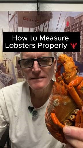 How to Measure Lobsters Properly 🦞 | Captain Clowers Guide Not sure how to measure your lobster the right way? In this video, Captain Clowers breaks down the correct and legal way to measure lobsters When you’re out on the water in San Diego, especially during California Spiny Lobster Season, knowing the exact measurement rules can save you from heavy fines and keep the season sustainable for everyone . We’ll show you: ✔️ Where to measure on the lobster ✔️ How to use a lobster gauge properly ✔️
