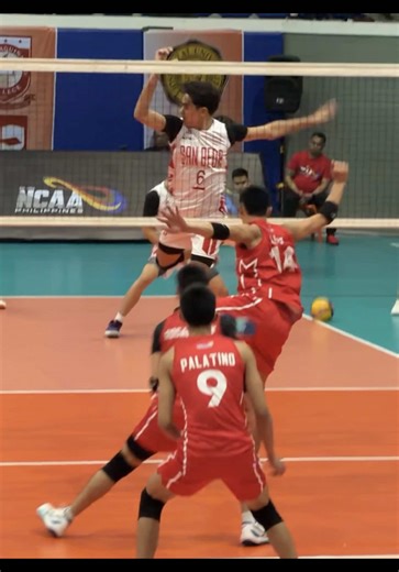 Exploring Sliwka Volleyball Techniques and Tips