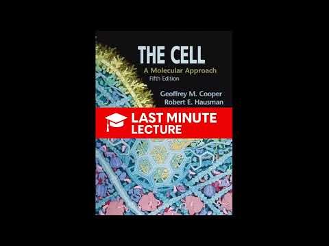 The Flow of Genetic Information Explained | Part II – The Cell: A Molecular Approach (5th)