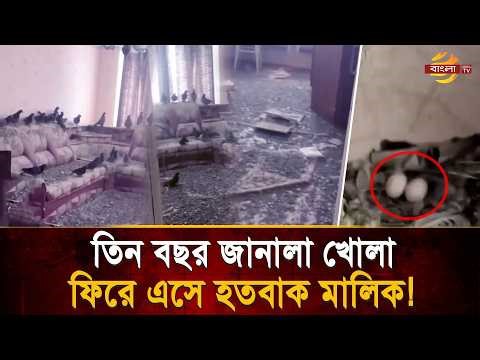 ভুল করে জানালা খোলা রাখায় বড় বিপদ! তিন বছর পর বাড়িতে ফিরে হতবাক মালিক | Bangla TV