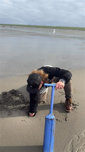 Big Water Guy on Instagram: "It’s razor clam season, digging for these clams is actually pretty fun and they taste 🔥🔥"