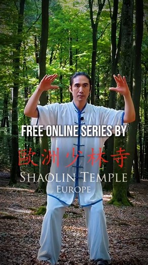 ✅ Life-changing insights and teachings from 6 experienced teachers from the Shaolin Temple Europe