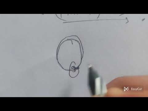 Class 10 Maths Exercise 1.1 Full Solutions | Real Numbers | NCERT