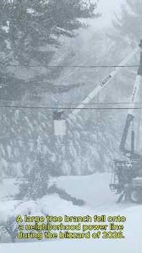 Tree branch on power line during blizzard 🥶 Emergency crews are the unsung heroes 👍