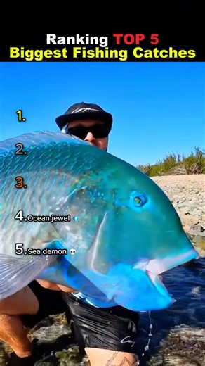 Ranking TOP 5 Biggest Fishing Catches 😭😭 #usa