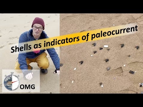 Using shells to determine paleocurrent direction