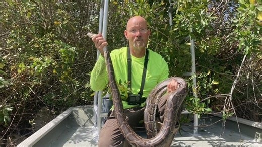 One python hunter dominates March competition for removing snakes