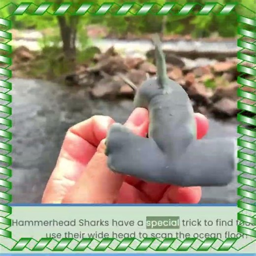 Hammerhead Shark Fun Facts! 🦈 Their Hammer-Shaped Head!