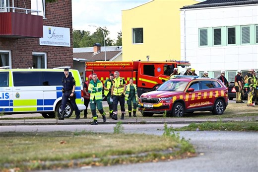 One dead, several injured in Sweden sword attack