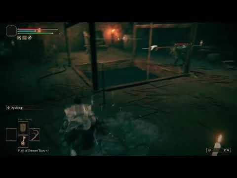 Elden Ring: Adam of Eden RP (PS5)