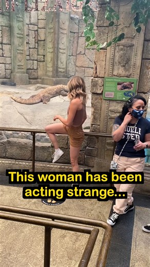 She climbed the railing at the zoo 😱 #drama #funnyanimals This original video was produced by Wes and Alison. | Tips, Tricks & Funny Clips