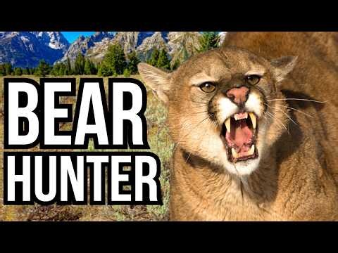 Ranking 7 Deadly Predators Based On How Easily They Can Eliminate Bears